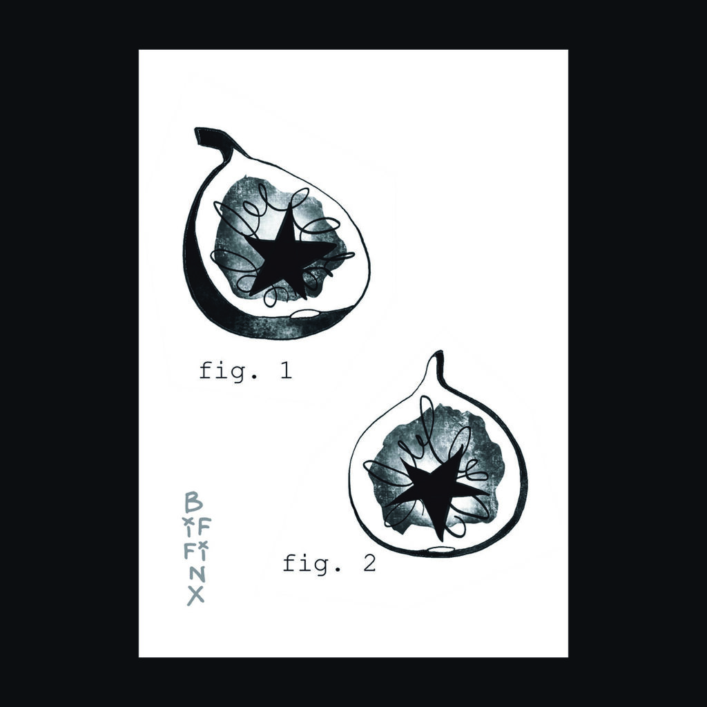 Figs 1 1024x1024 - Biffinx Fig Print