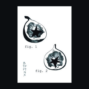 Figs 1 300x300 - Biffinx Fig Print